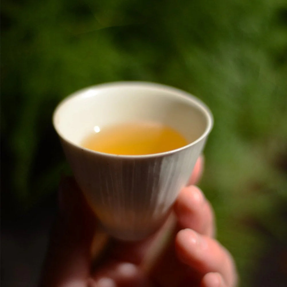 Handmade White Matte Ceramic Tea Cup | MDTEA