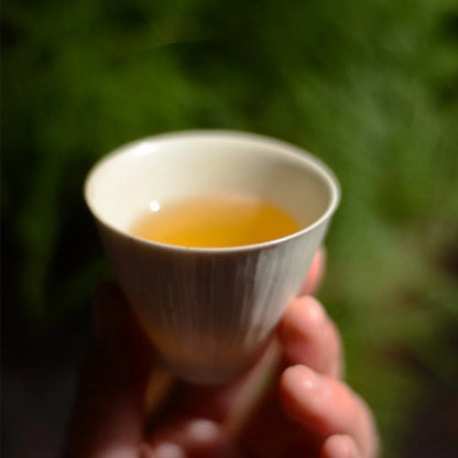 Handmade White Matte Ceramic Tea Cup | MDTEA