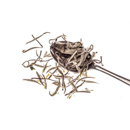 Silver Needle – an exquisite white tea | MDTEA